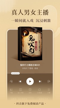 番茄小说阅读器app