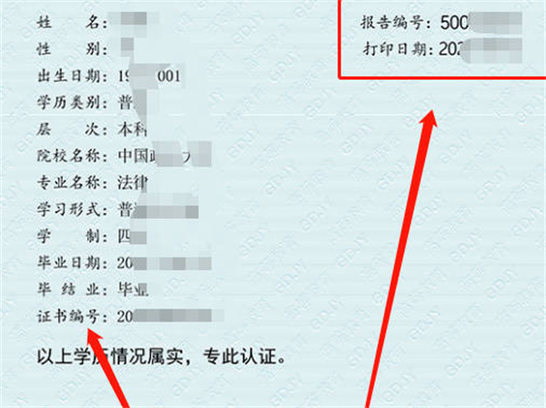 学信网编号在哪里查询