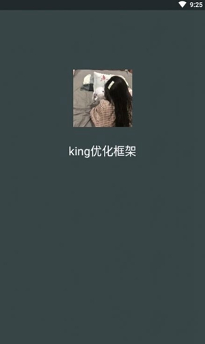 king优化框架1.2