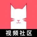 猫咪最旧版下载地址