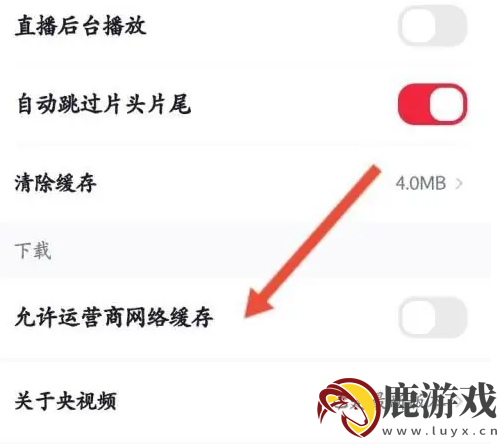 央视频app怎么改缓存位置