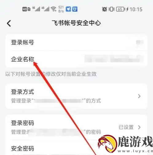 飞书app怎么查看企业域名