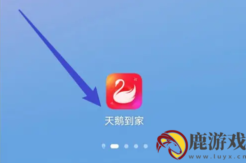 天鹅到家app里怎么报名培训