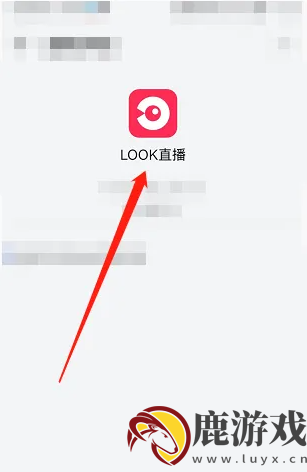 网易云look直播怎么兑换vip