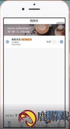 瑞幸咖啡app为什么只能微信支付