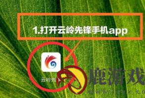 云岭先锋app怎么积分