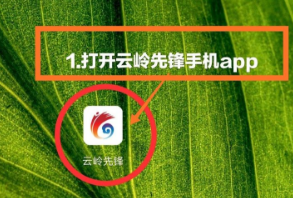 云岭先锋app怎么积分-云岭先锋app积分管理使用方法