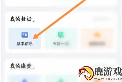 爱山东app如何查询个人信息