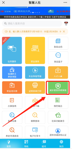 湖南人社智慧app怎么查询每个月到账-具体操作方法介绍