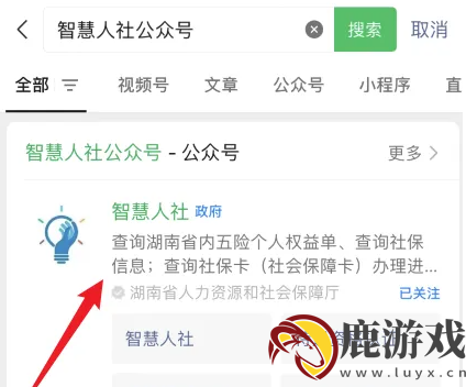 湖南智慧人社怎么打印参保证明