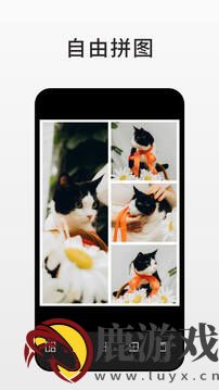 Fotor图片编辑器app最新版下载