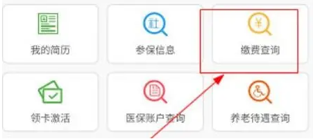 湖南智慧人社怎么查医保缴费-湖南智慧人社查缴费记录步骤一览