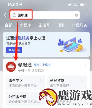 江西赣服通怎么停医保