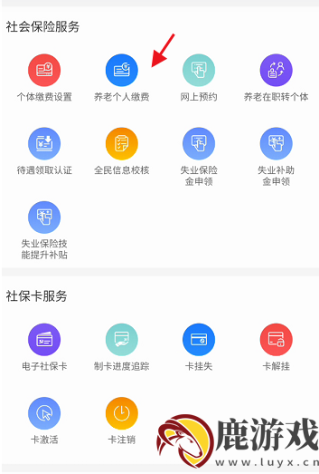 龙江人社app怎么交医保