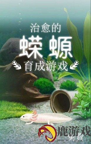 治愈的蝾螈育成手机版下载