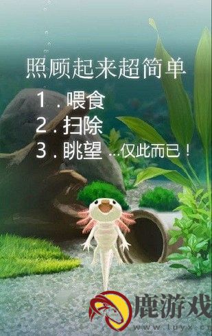 治愈的蝾螈育成手机版下载